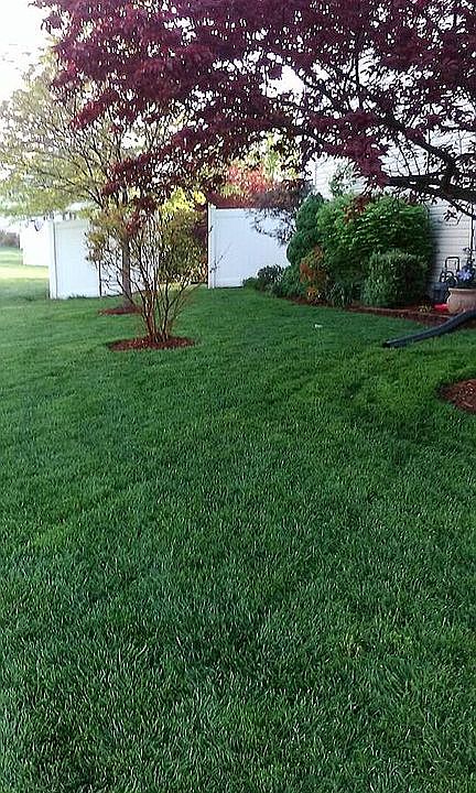 2nd image of 1306 Nautical Cir
