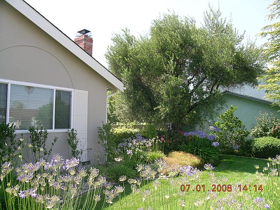 Right front of house