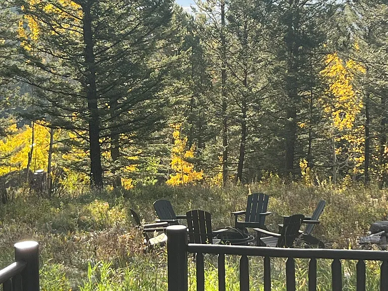 large secluded property on 4+ acres