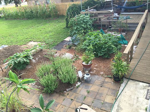 Front yard garden.
