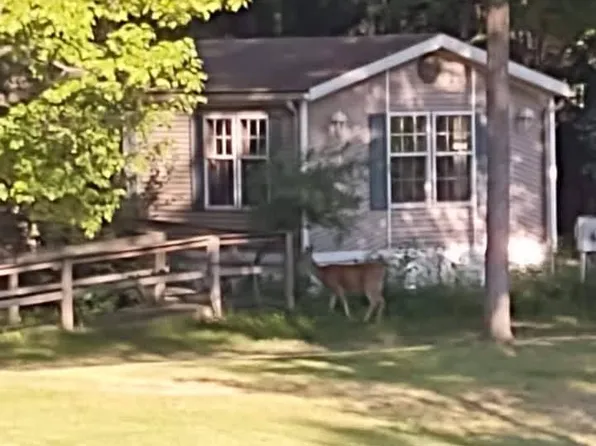 (undisclosed Address), Sanford, MI 48657