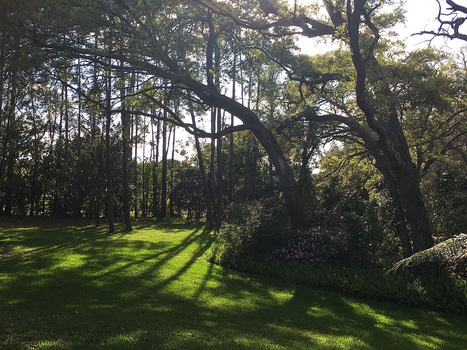 Amazing park like backyard