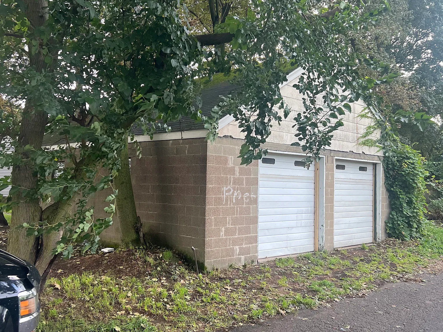 1 bed, 675 sqft, $795 — Photo 1