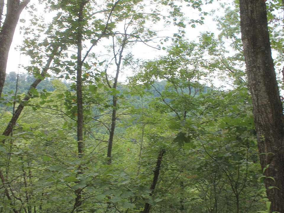 1st image of TRACT 3 Straight Fork Rd Tract 3