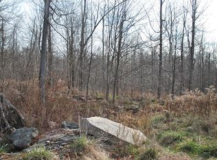 Rockledge Ln, Equinunk, PA 18417