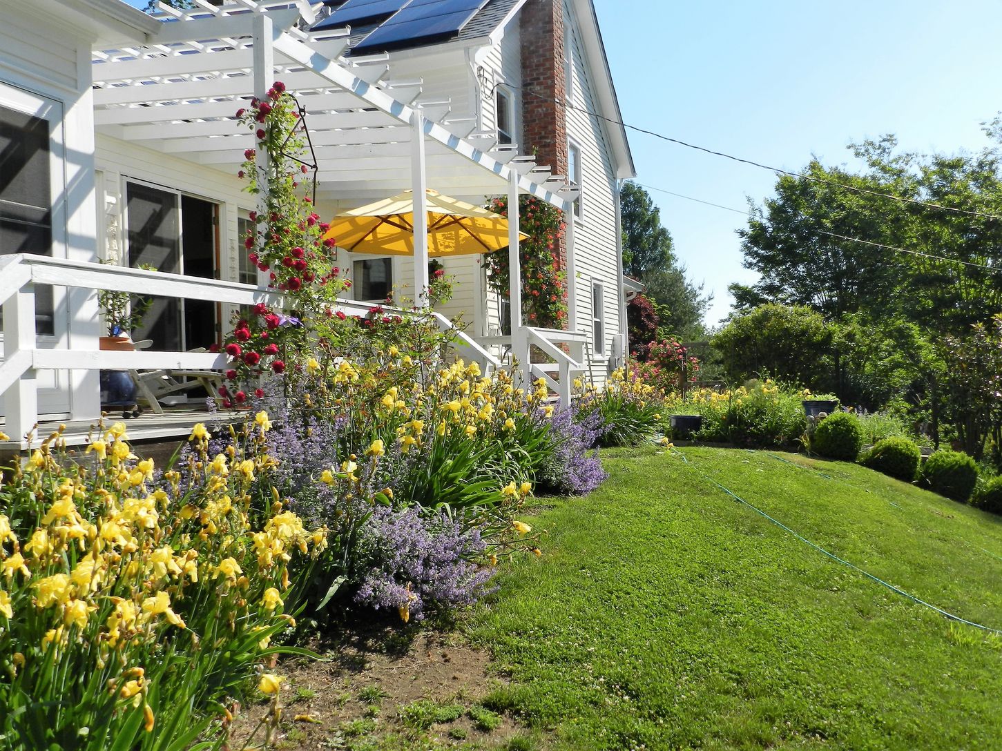  Flower Garden