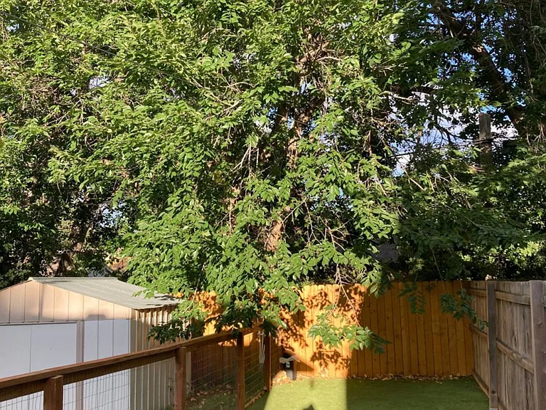 228 Clover Ln #UP — Photo 12