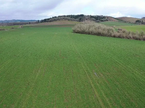 14060 Simpson Rd, Monmouth, OR 97361