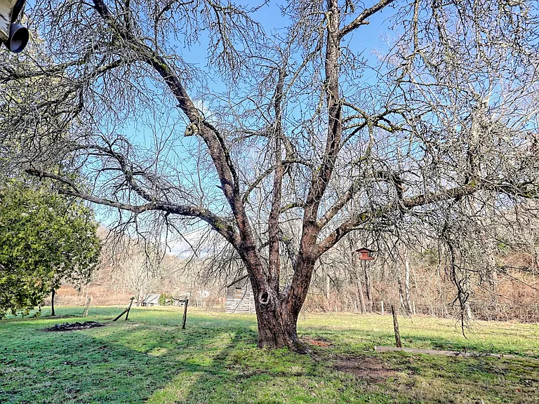 Stevenson Rd — Photo 11