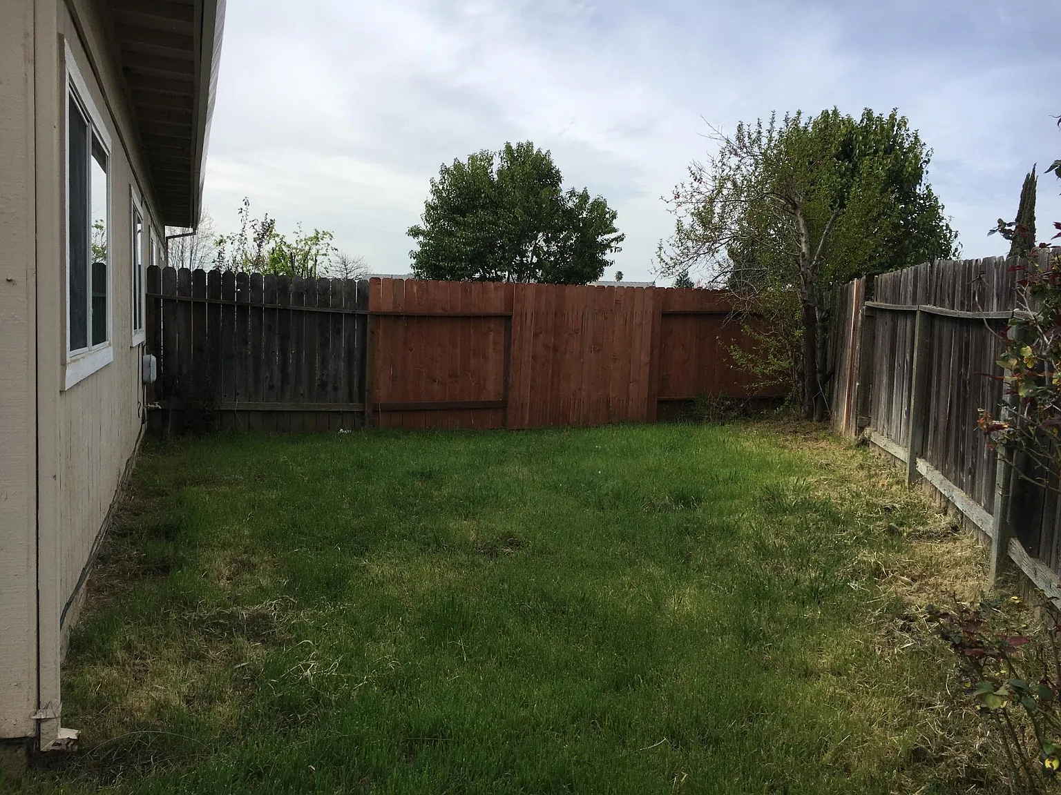 3 bed, 1050 sqft, $2,150 — Photo 2