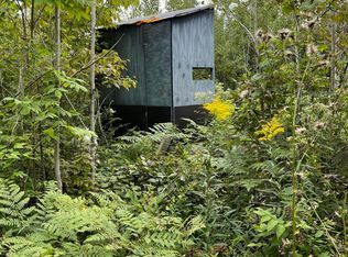 Wilds Rd, Ossineke, MI 49766