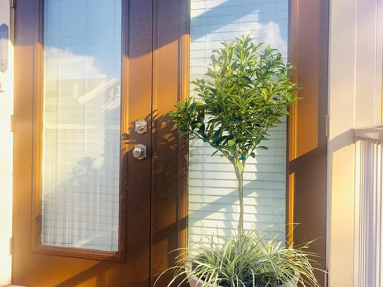 5001 Grande Dr #724 — Photo 3