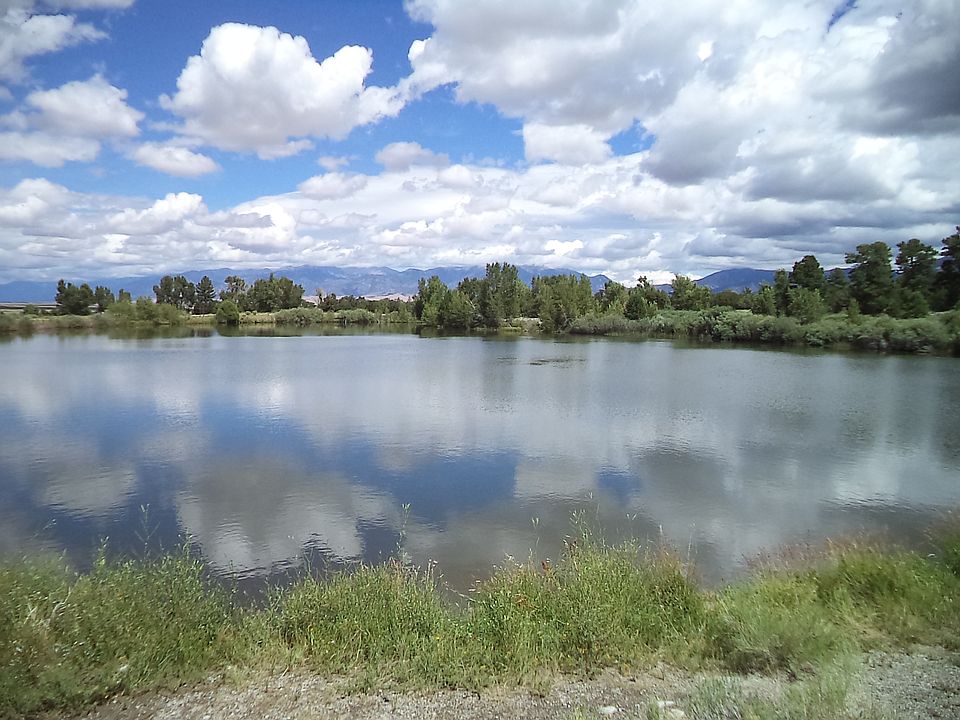 lower lake with fish
