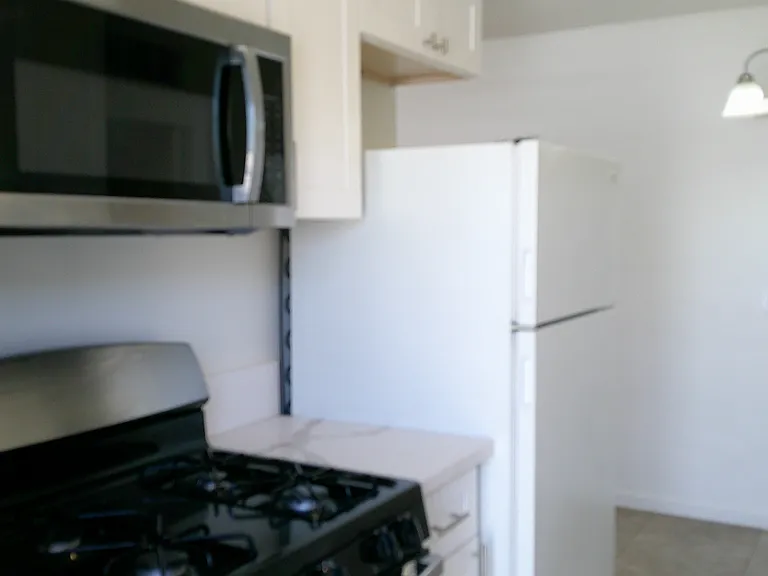 1132 S Roosevelt St #1 — Photo 20