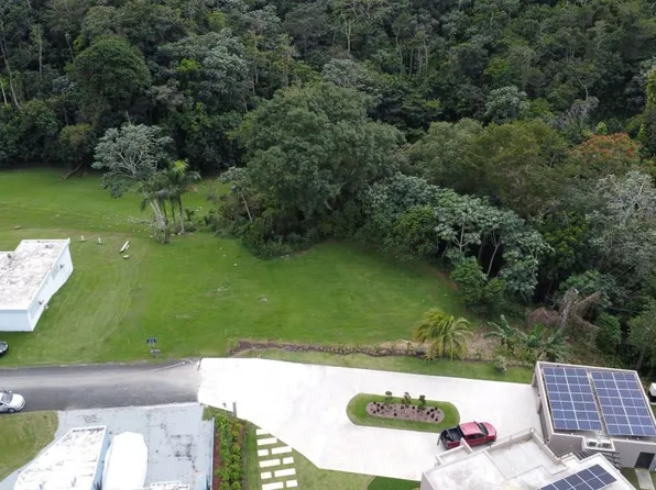 C37 Calle 1, Guaynabo, PR 00971