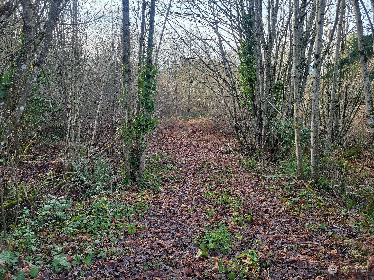 1200 Baby Doll Road E photo 1