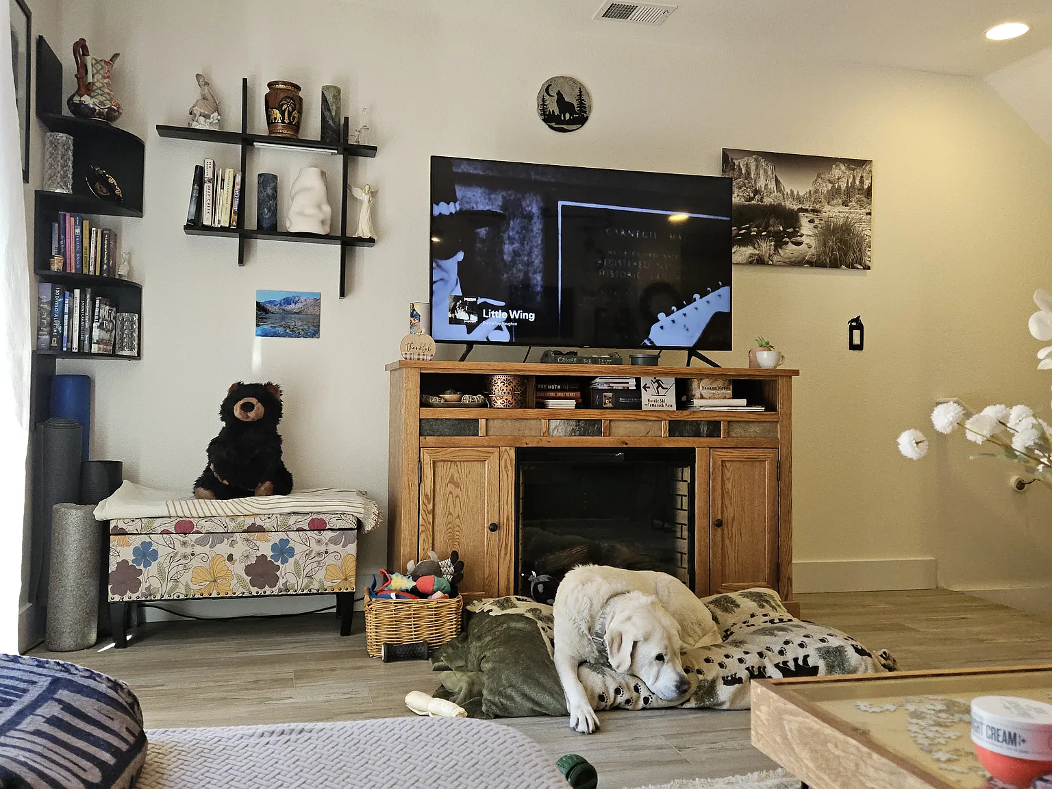 4 bed, 1146 sqft, $5,500 — Photo 1