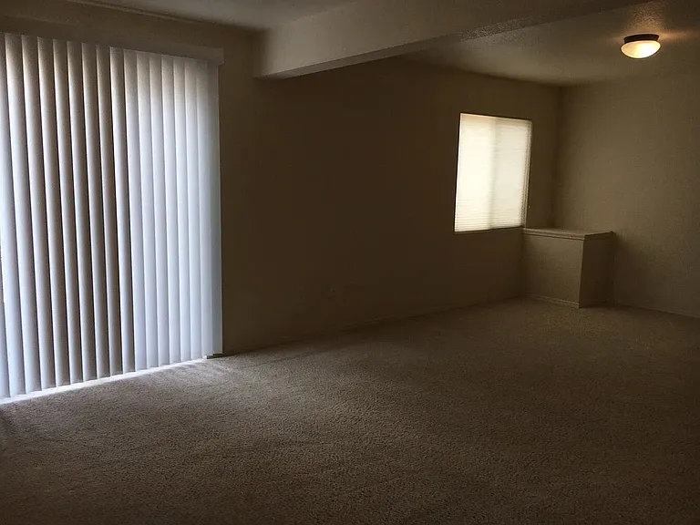 9514 Newport Plum Ct — Photo 21