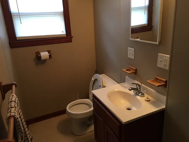 Bathroom sink and toilet