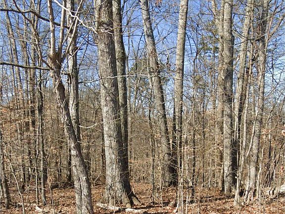3rd image of 28 Madeline Ln Lot 28