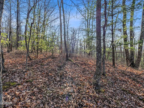 5th image of 035.19 Forest Trails Dr #R