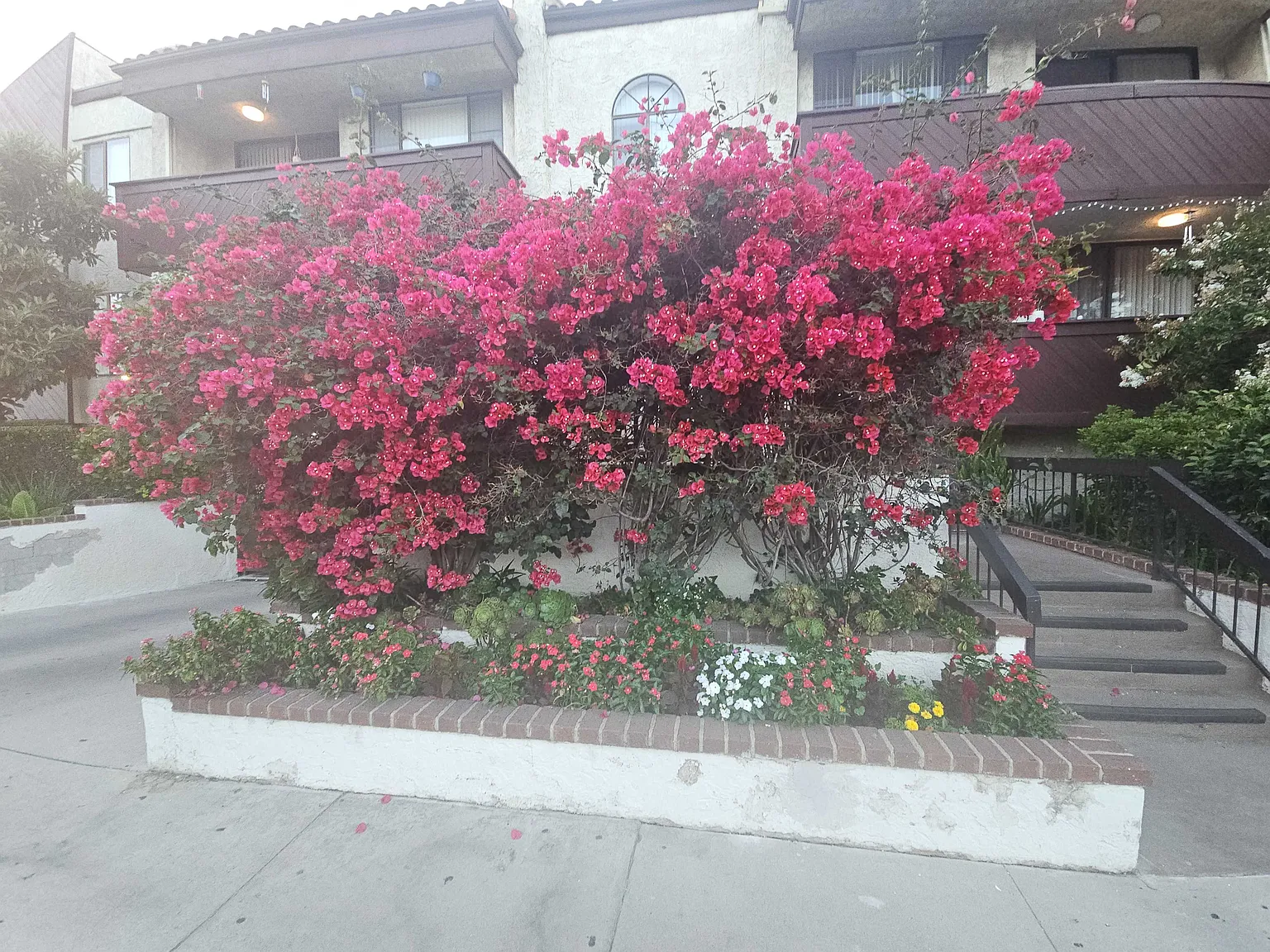 1 bed, $2,295 — Photo 3