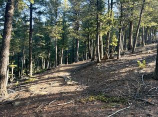 461 Paradiso Rd, Divide, CO 80814