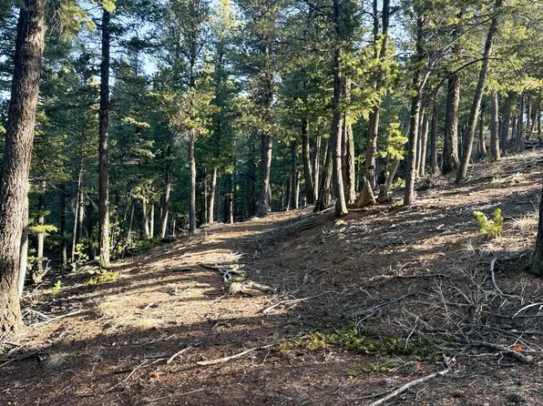 461 Paradiso Rd, Divide, CO 80814