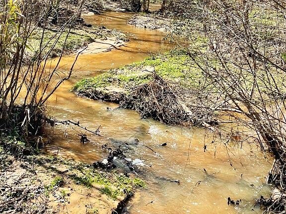 2nd image of 0 Brinkley Rd