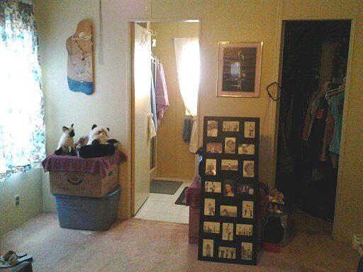 3rd image of 1333 Black Olive Dr