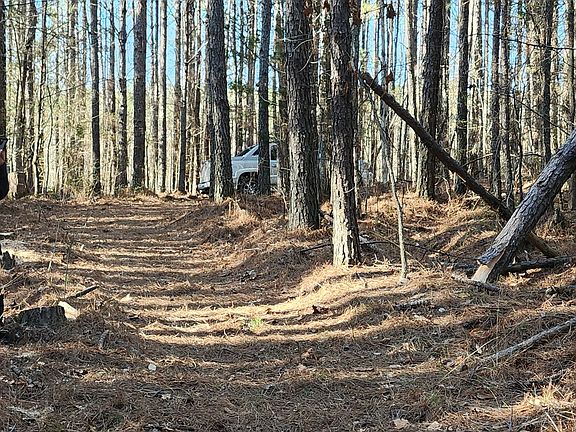 4th image of 498 Gobbler Dr