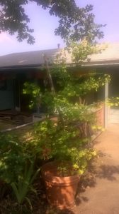 161 Crestview Loop, Grants Pass, OR, 97527