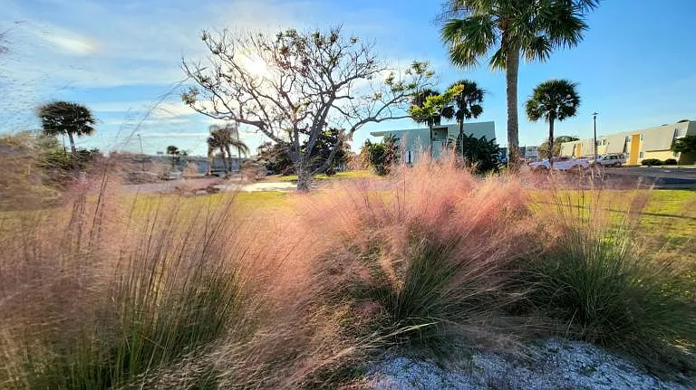 Sailpoint Bay — Photo 3