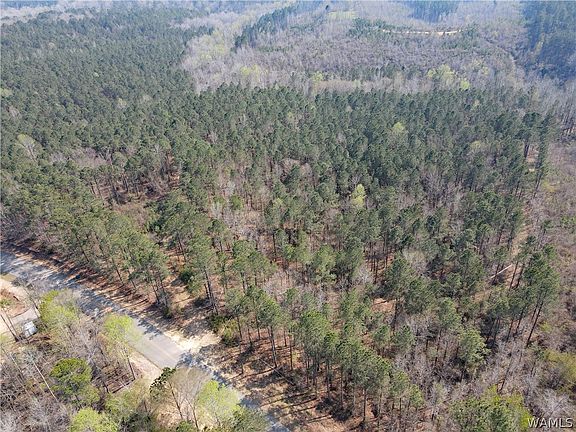 2nd image of 0 Bethabara Rd