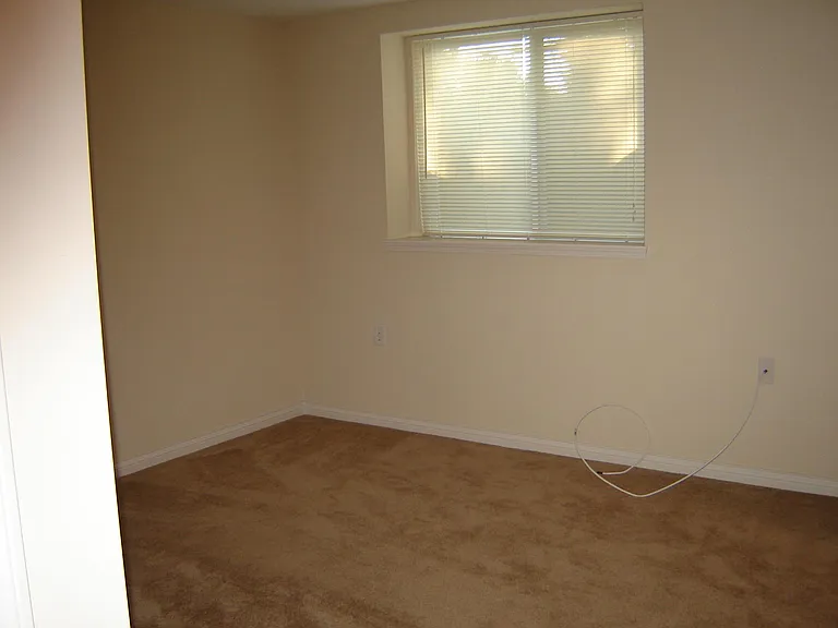 Lower level bedroom, with egress window