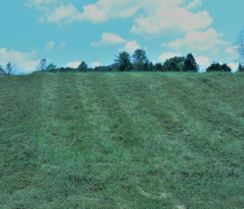 1st image of 133 Forest Ln