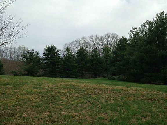 Lot flanked by pine trees