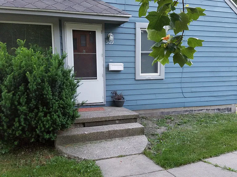 Beautiful flowering pear tree in the summer produces lovely shaded front yard.