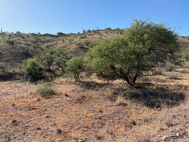 2nd image of 1262 Tocar Ct #50