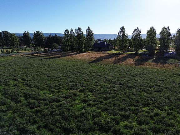5th image of 3022 W Timp Vista Cir