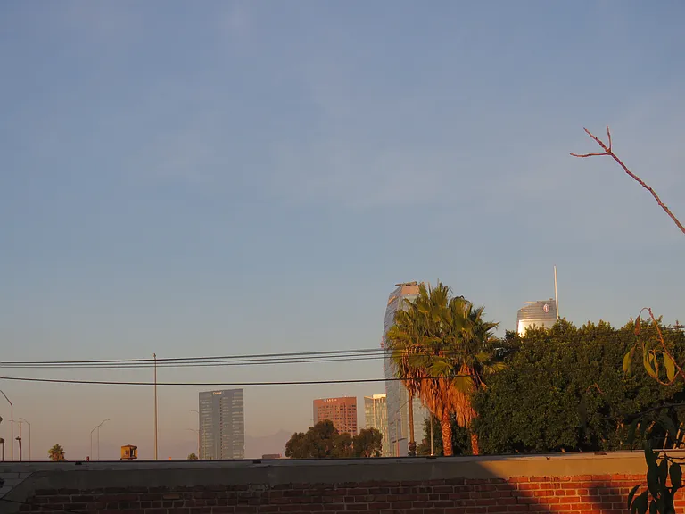 DLTA View