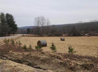 8372 Rush Creek Rd #16, Caneadea, NY 14717