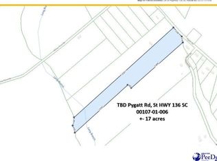 Pygatt Rd, Effingham, SC 29541