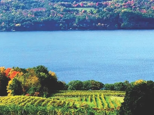 4966 State Route 414, Burdett, NY 14818