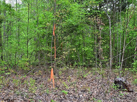 2nd image of Mary Alice Ln