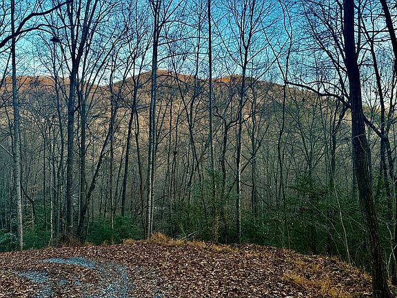 2nd image of 0 Bradley Creek Rd