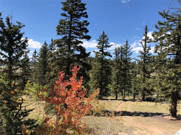 246 Chippewa Road, Jefferson, CO 80456