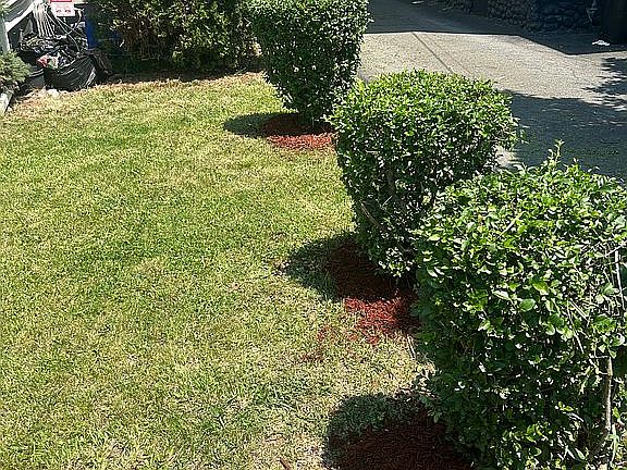 2nd image of 15 Lawn Ave