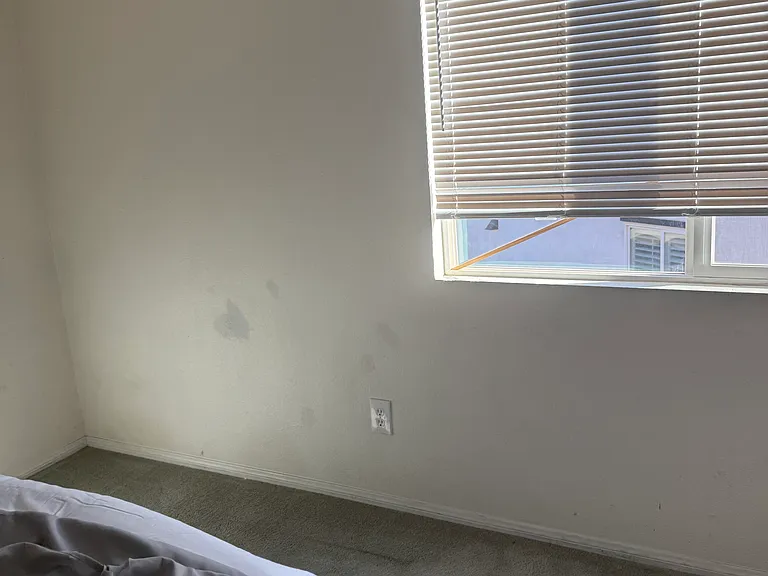 28580 Brookview Ln — Photo 16