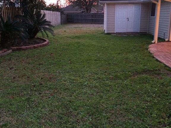 Back yard